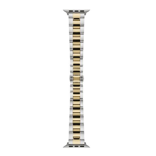 Smartwatch Iconic Link two-tone