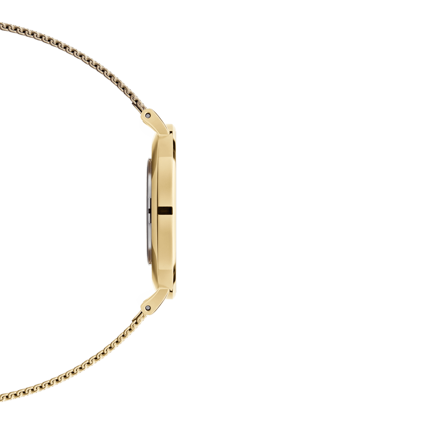 Petite Evergold