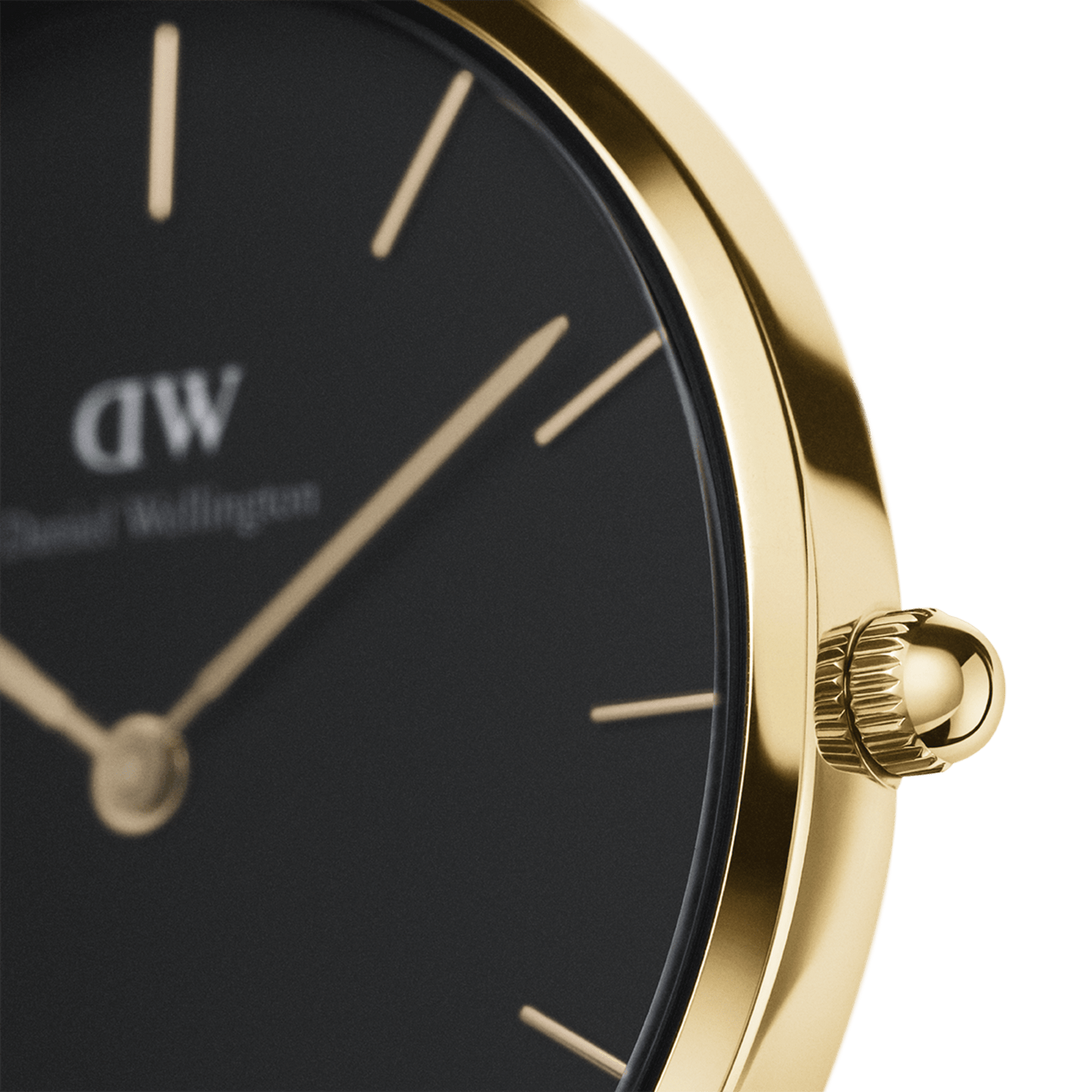 Petite Sheffield Black Gold