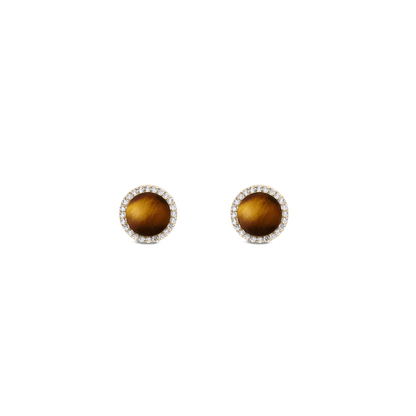Audrey Earrings Tiger Eye Gold