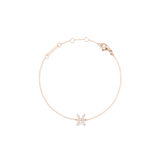 Pisces