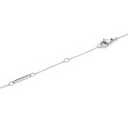 Crystal Zodiac Chain Necklace Silver