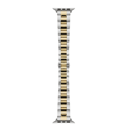 Smartwatch Iconic Link two-tone