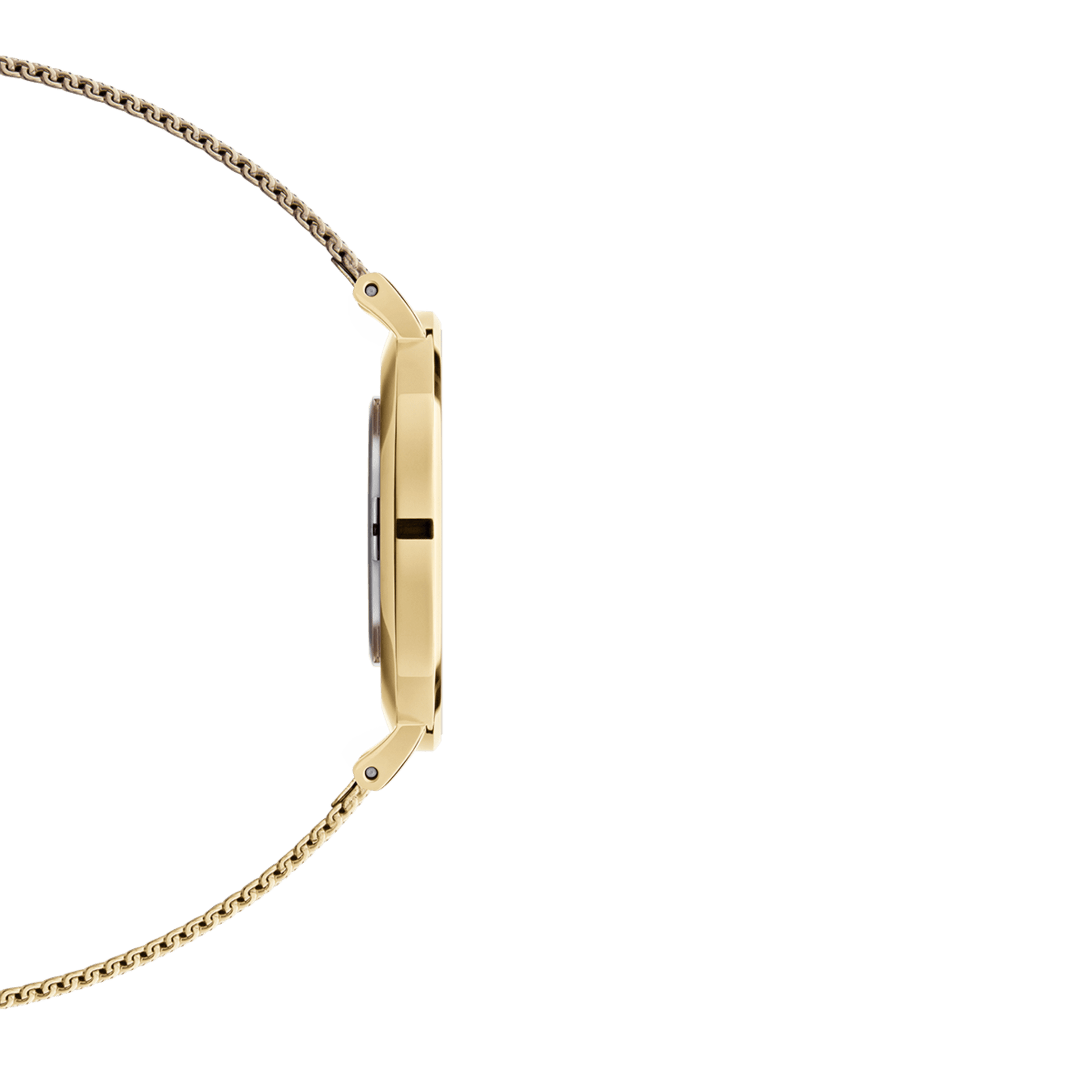 Petite Evergold Black