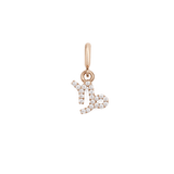 Capricorn