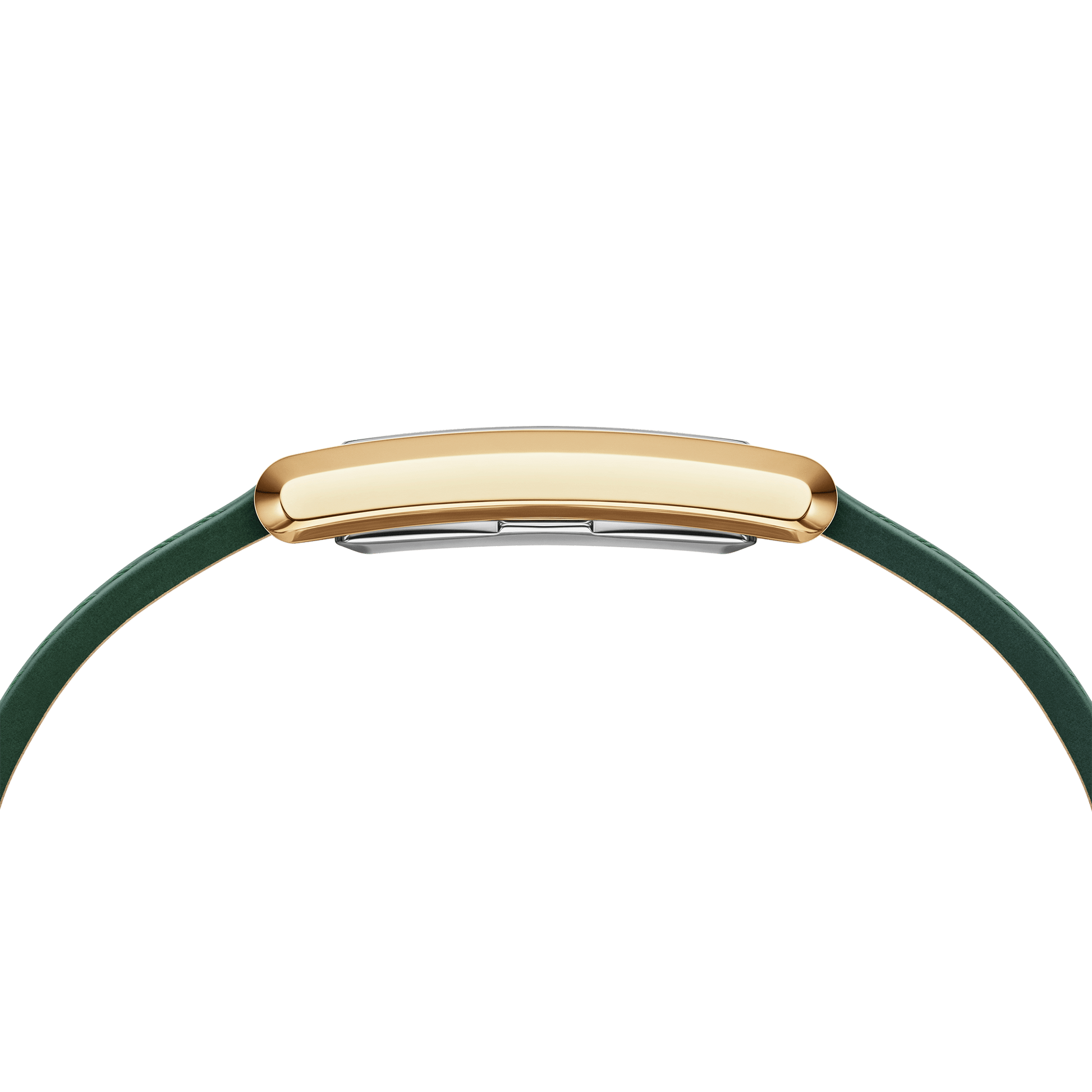 Bound Crocodile Champagne Sunray Gold