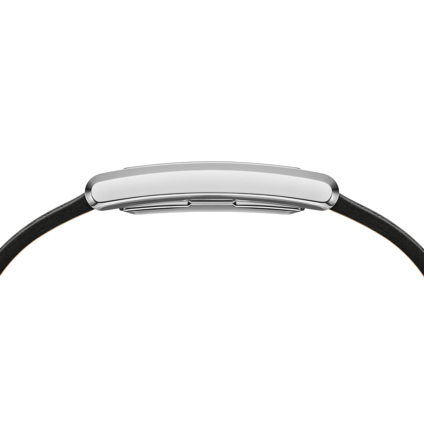 Bound Black Crocodile Silver