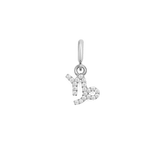 Capricorn
