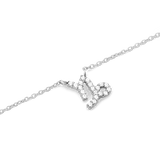 Capricorn