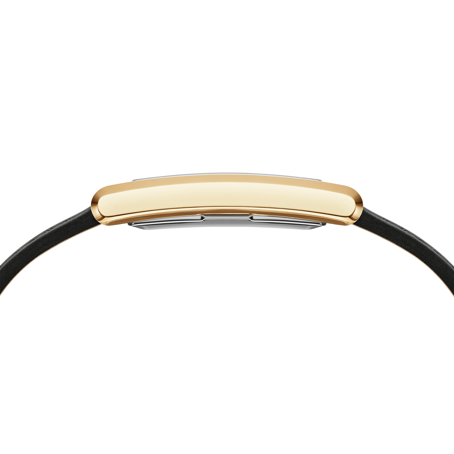 Bound Black Crocodile Gold