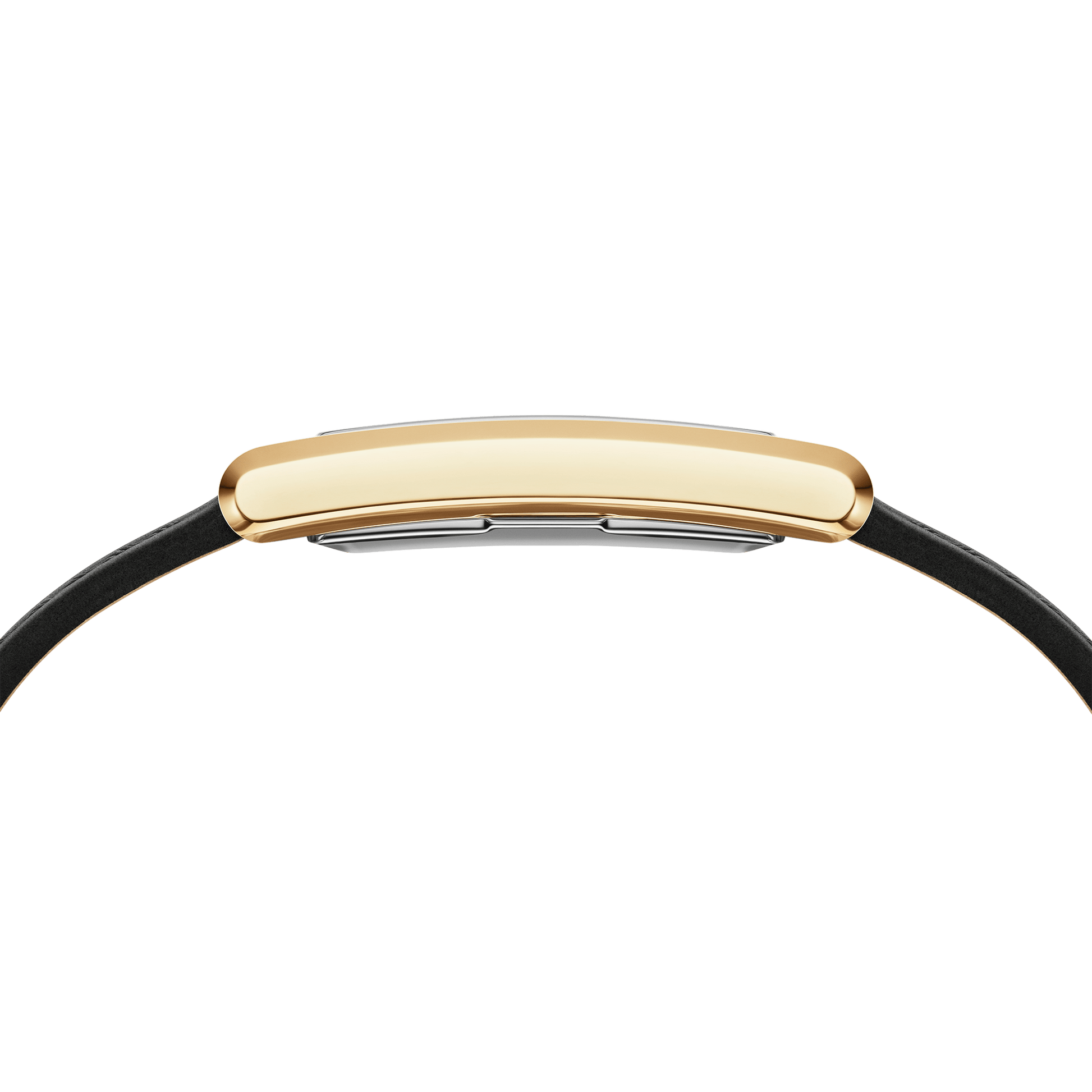 Bound Black Crocodile Gold