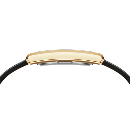 Bound Black Crocodile Gold