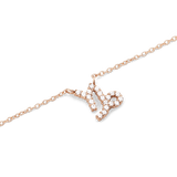 Capricorn