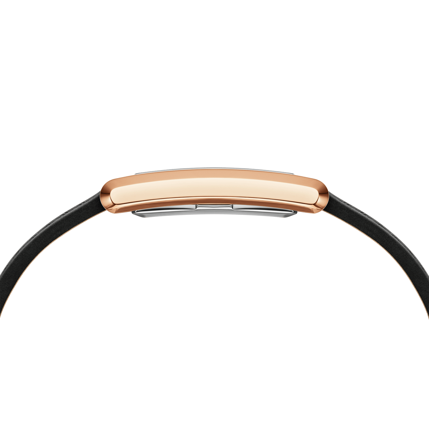 Bound Black Crocodile Rose Gold