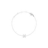 Pisces