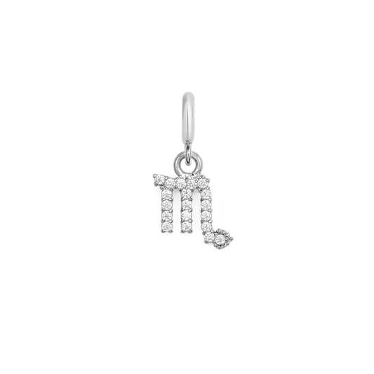 Zodiac Watch Charm Silver