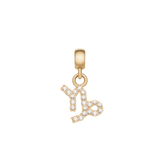 Capricorn