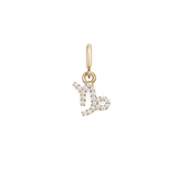Capricorn