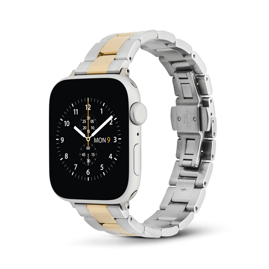 Smartwatch Iconic Link two-tone